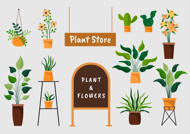 Plant Store