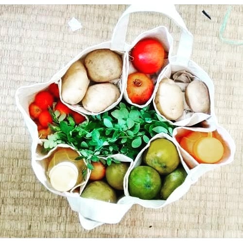 Vegtable Bag with Six Pockets