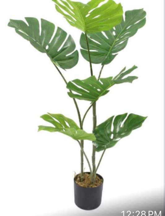 OurBalconyGarden Monestra Faux Plant Height 3ft B199