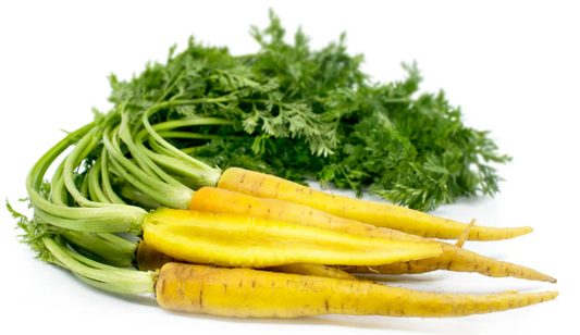 Yellow Carrot Seeds