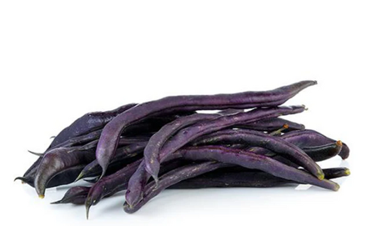 Purple Pole Bean Seeds