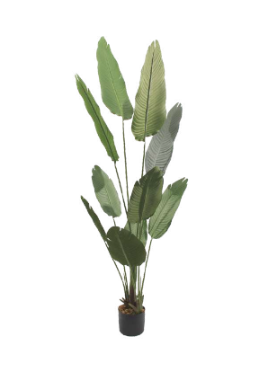 TIMELESS TRAVELLER ARTIFICIAL PLANT