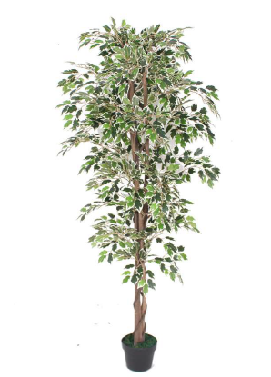 VARIEGATED FICUS TREE ARTIFICIAL PLANT