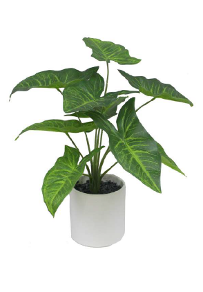 TARO PLANT ARTIFICIAL PLANT