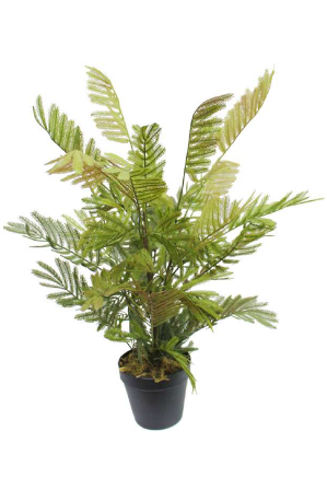 MIMOSA ARTIFICIAL PLANT