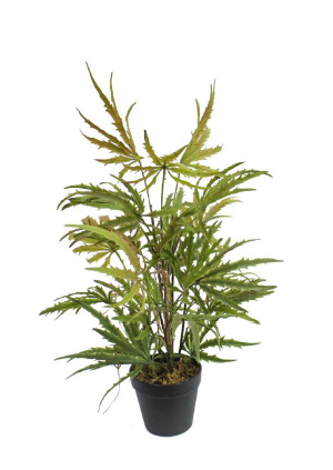 MAPLE ARTIFICIAL PLANT