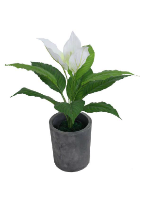 ANTHURIUM (PEACE LILLY) ARTIFICIAL PLANT