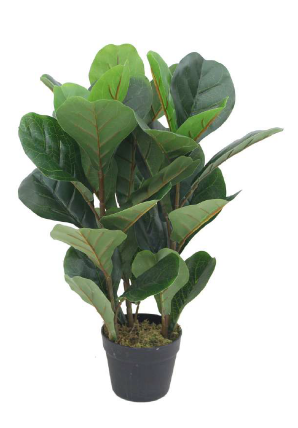 FIDDLE ARTIFICIAL PLANT