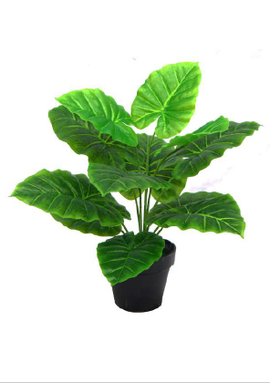 TARO ARTIFICIAL PLANT