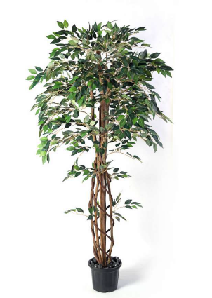 MINI FICUS ARTIFICIAL PLANT