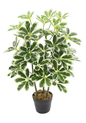 VARIEGATED SCHEFFLERA ARTIFICIAL PLANT