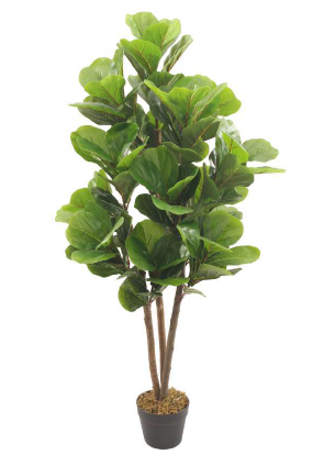 FIDDLE ARTIFICIAL PLANT