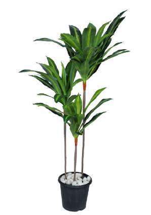 DRACAENA ARTIFICIAL PLANT