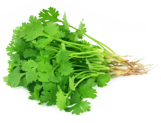 Coriander Seeds