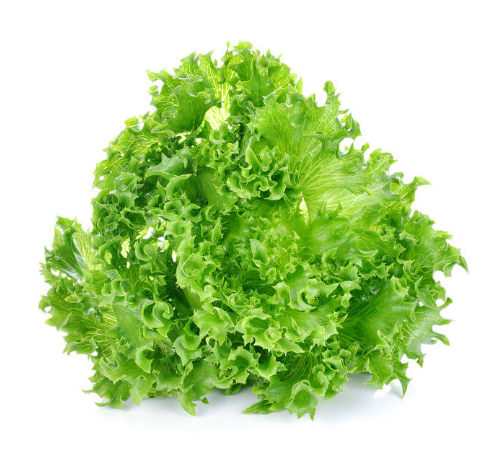 Lettuce Grand Rapids Seeds