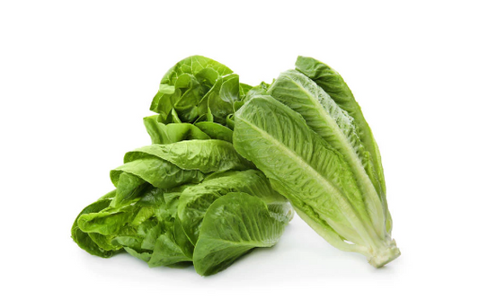 Romaine Lettuce Seeds