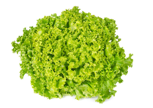 Lettuce Lollo Bionda Seeds