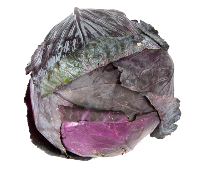 Red Cabbage Seeds