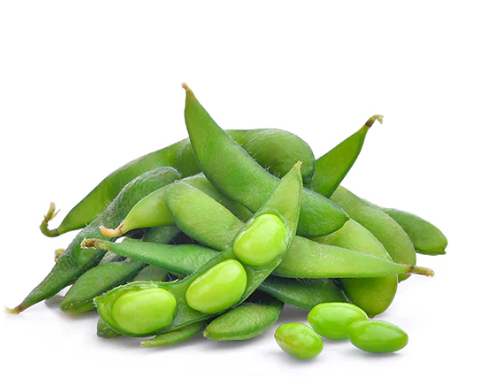 Edamame Soybean Seeds