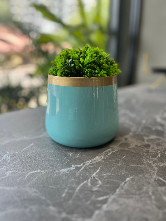 Our Balcony Garden Blue Neon Metal Pot for Gifting B307