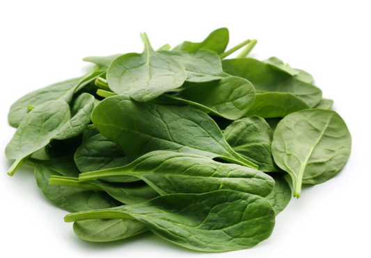 Spinach Matador Seeds