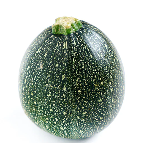 Zucchini Round Green Seeds