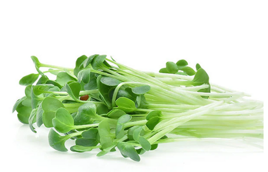 Alfalfa microgreen seeds