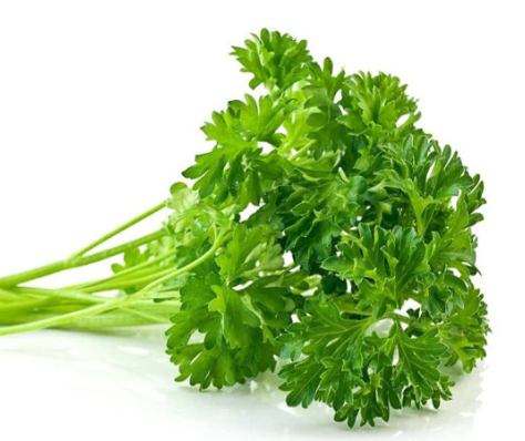 Parsley microgreen seeds