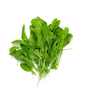 Spinach Microgreen Seeds