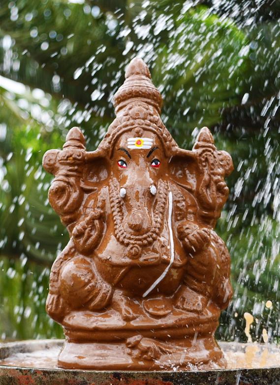 Ganapthi Seed Idol