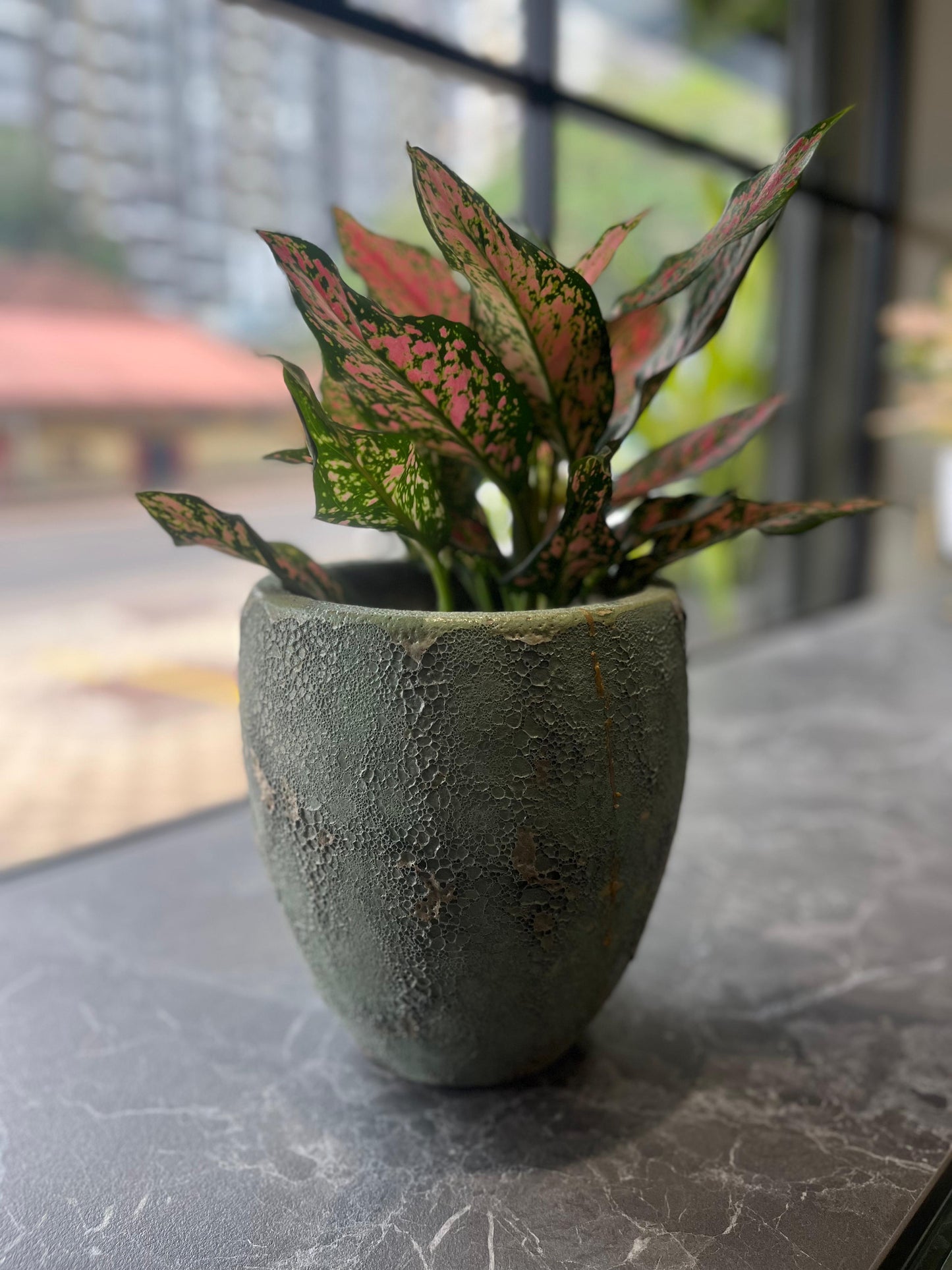 OurBalconyGarden Green Monochrome Ceramic Pot B296