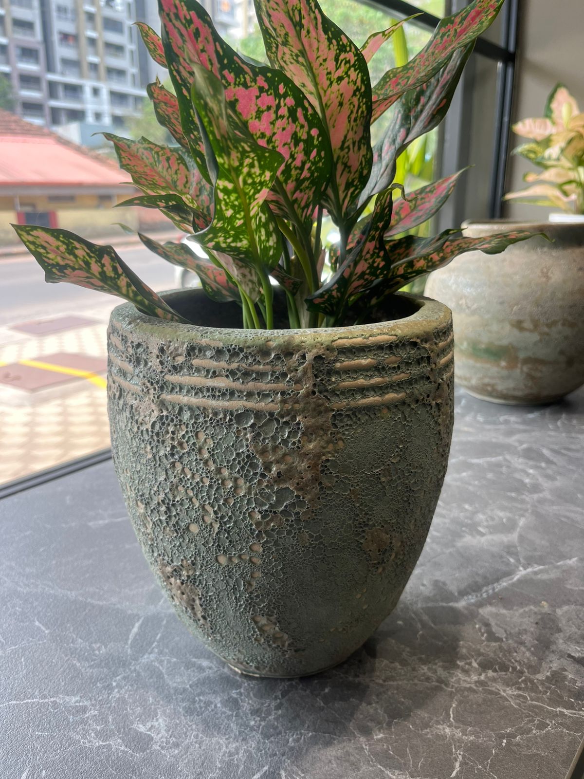 OurBalconyGarden Green Line Monochrome Ceramic Pot  B297