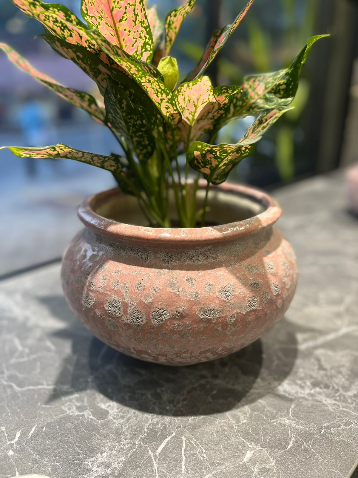 OurBalconyGarden Pink Glazed Ceramic R - Pot B302