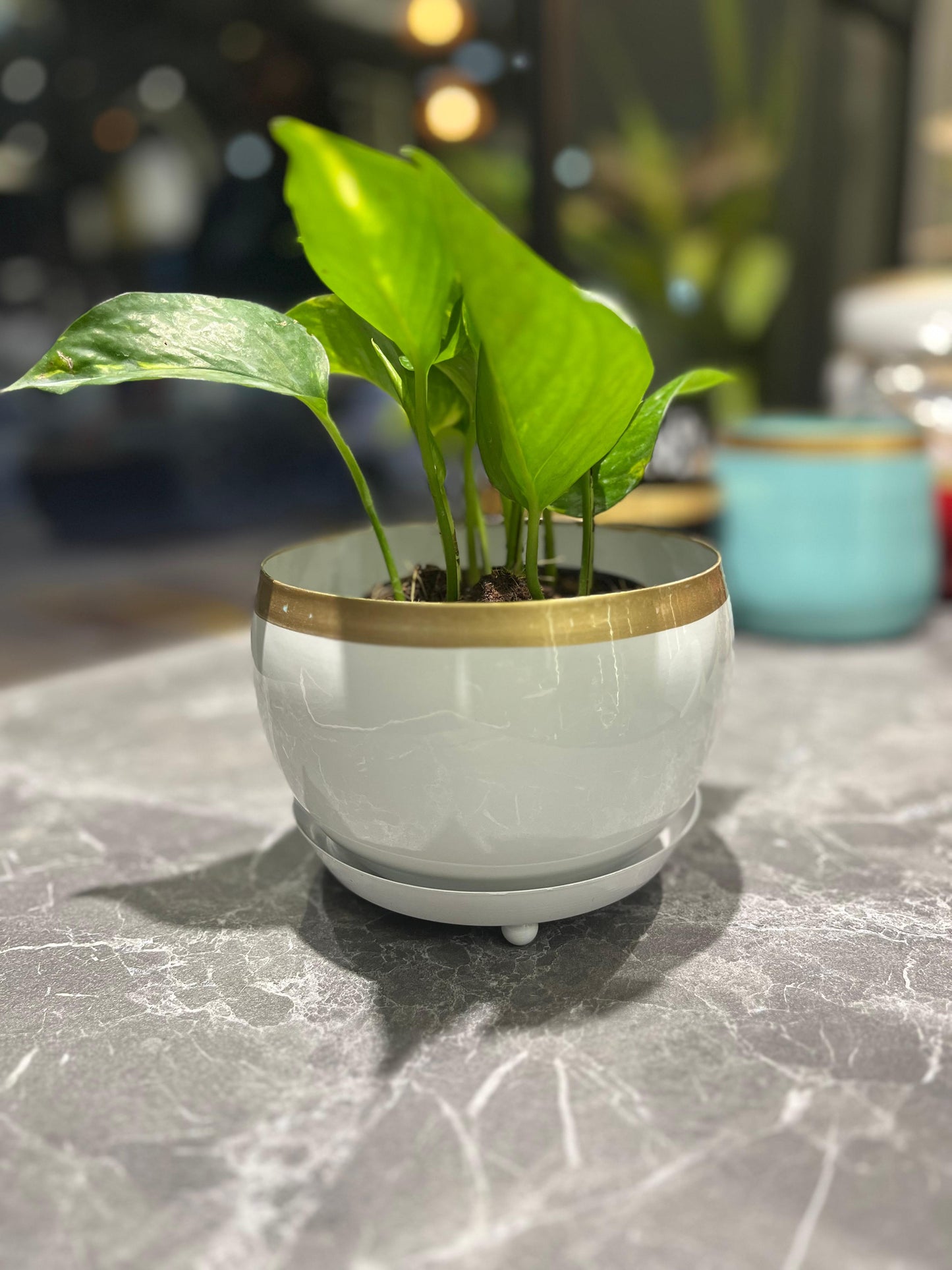 OurBalconyGarden White Gold Metal Pot B305