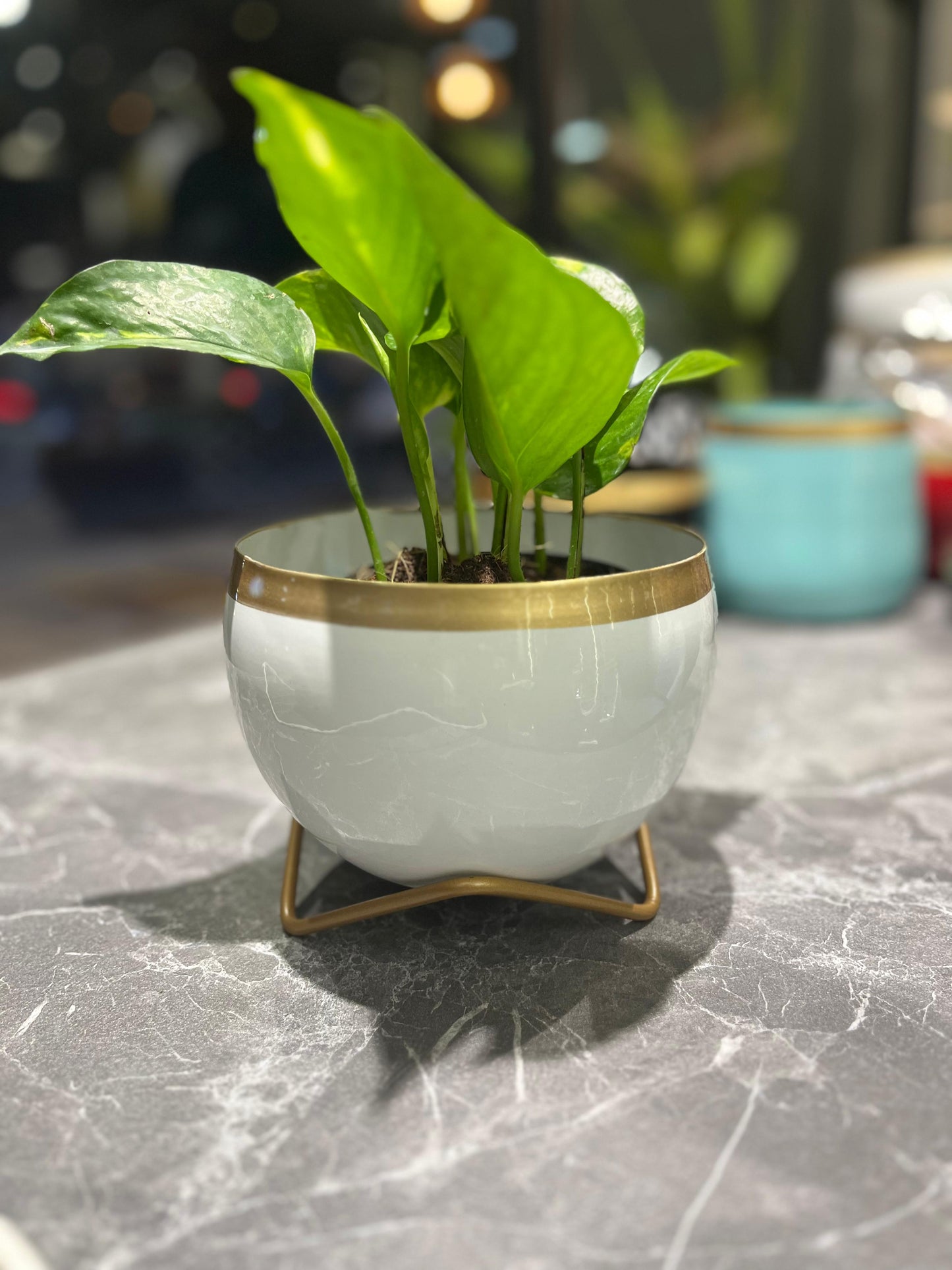 OurBalconyGarden White Gold Metal Pot B305